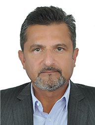 Amin Nasser